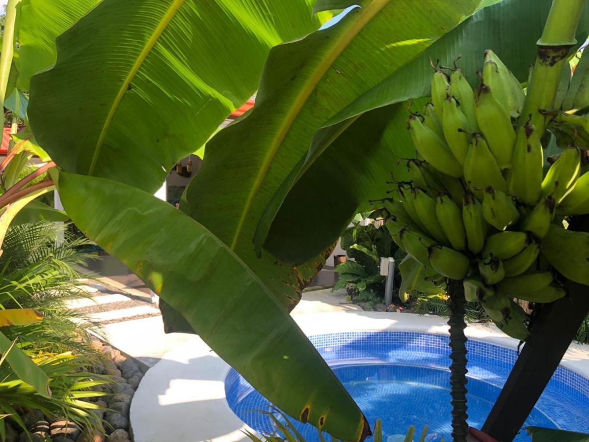 Good Life Lodge Sámara المظهر الخارجي الصورة
